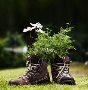 Rangements Chaussures Écologie